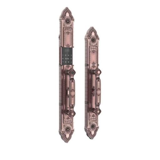 Khóa cửa thông minh TENON F8